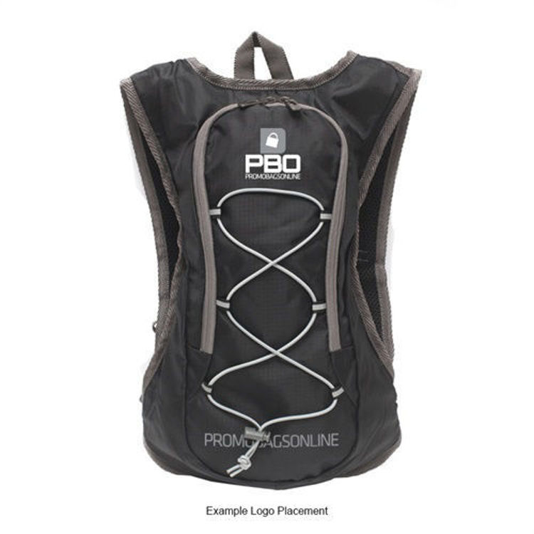 Picture of Odyssey Hydration Pack