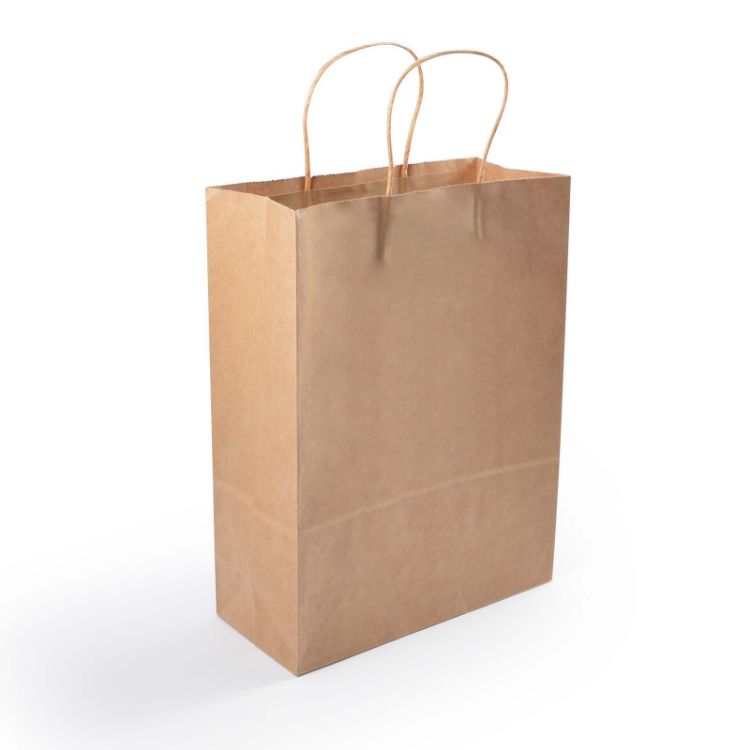 Picture of Express Paper Bag Medium 