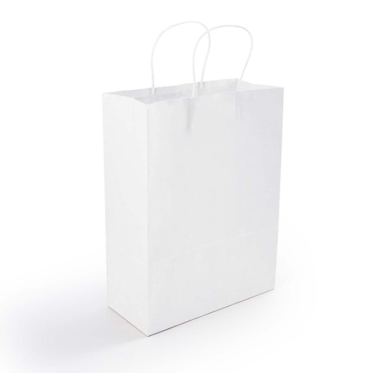 Picture of Express Paper Bag Medium 
