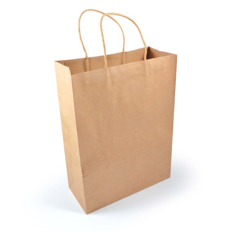 Picture of Express Paper Bag Large